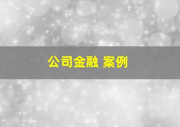 公司金融 案例